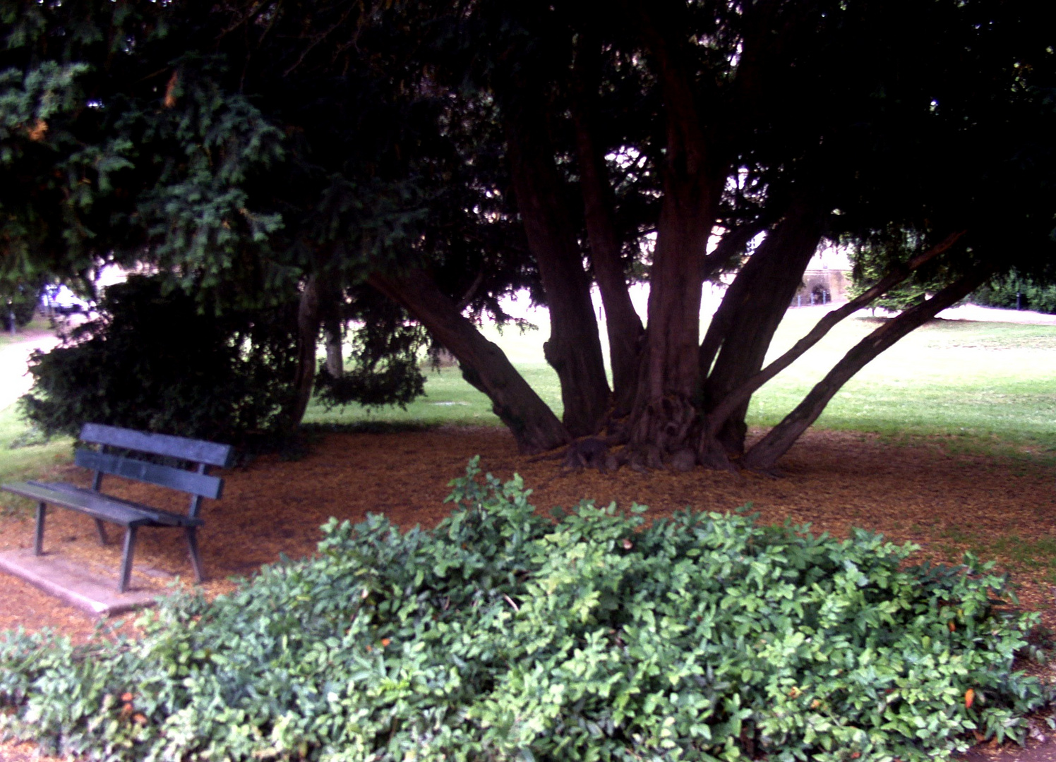 Abbaye de Cluny (16)