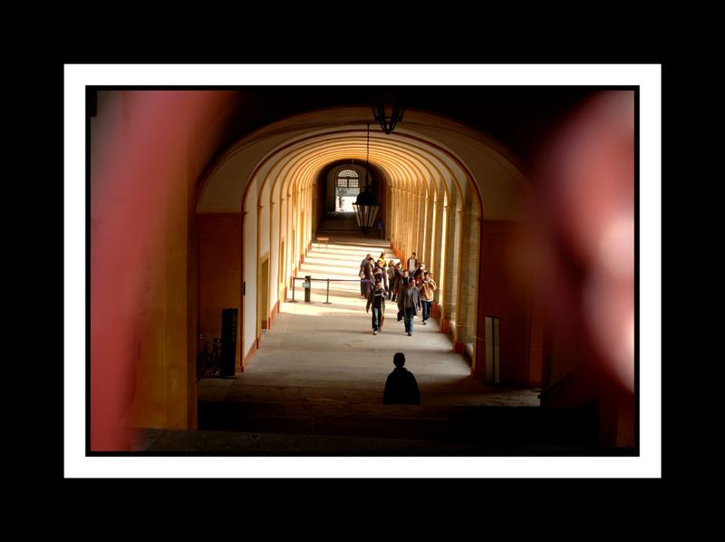 Abbaye de Cluny Cloitre