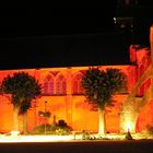 Abbaye de Ferrieres en gatinais de nuit