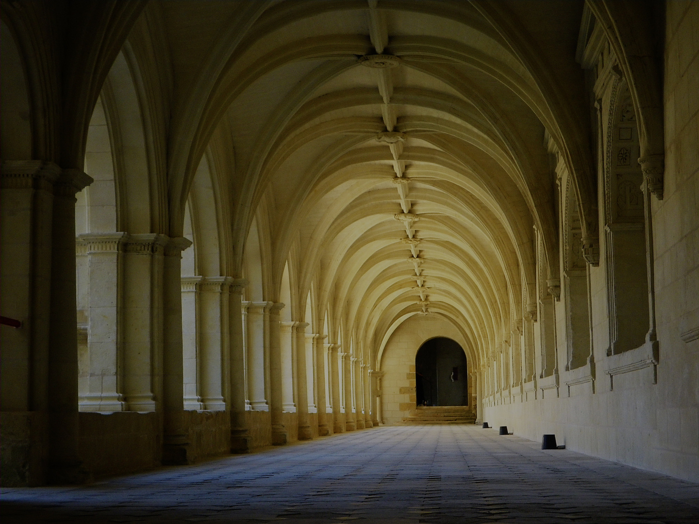 abbaye de Fontevraud