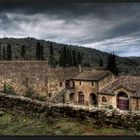 Abbaye de Fontfroide II