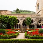 Abbaye de Fontfroide IV...