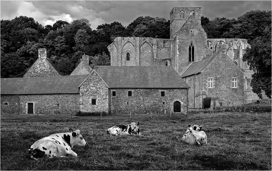 Abbaye de Hambye (Normandie)