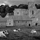 Abbaye de Hambye (Normandie)