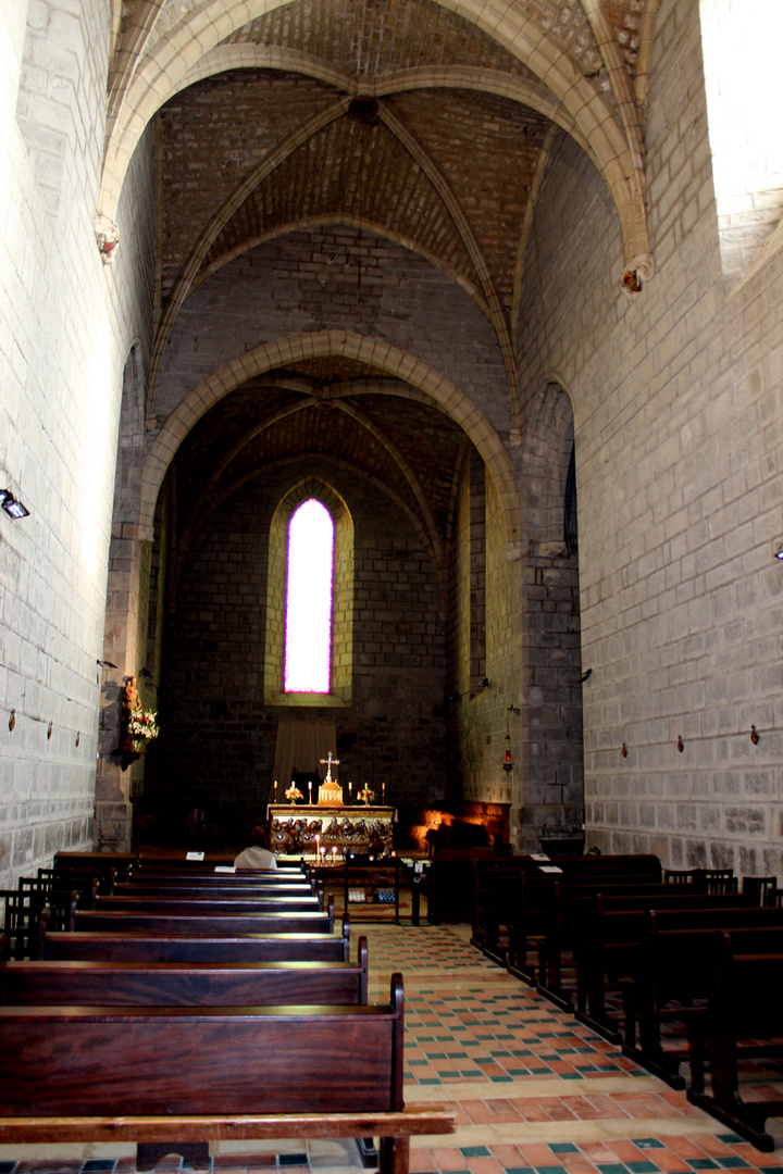 Abbaye de LAGRASSE (Aude)