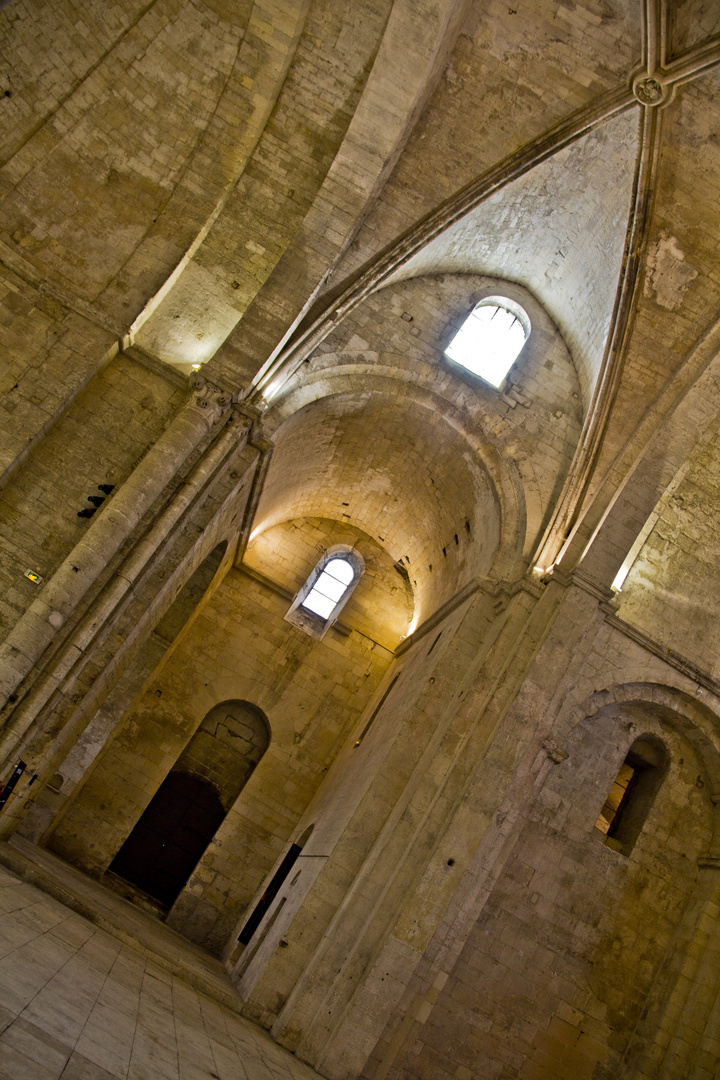 Abbaye de Montmajour 4