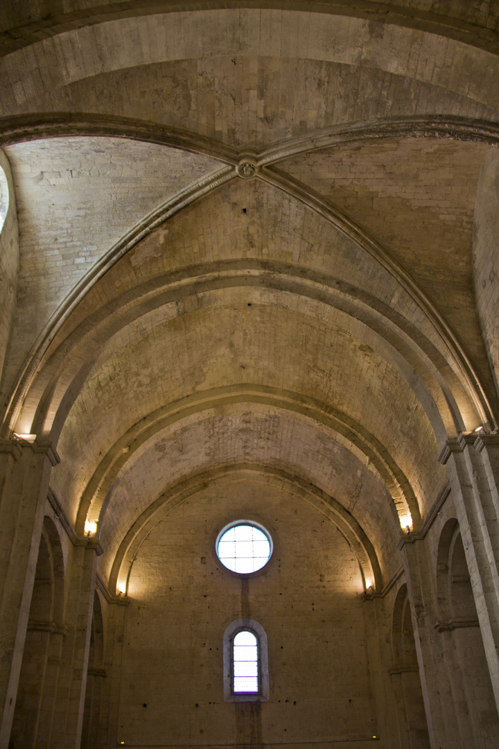 Abbaye de Montmajour 5
