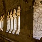 Abbaye de Montmajour 7