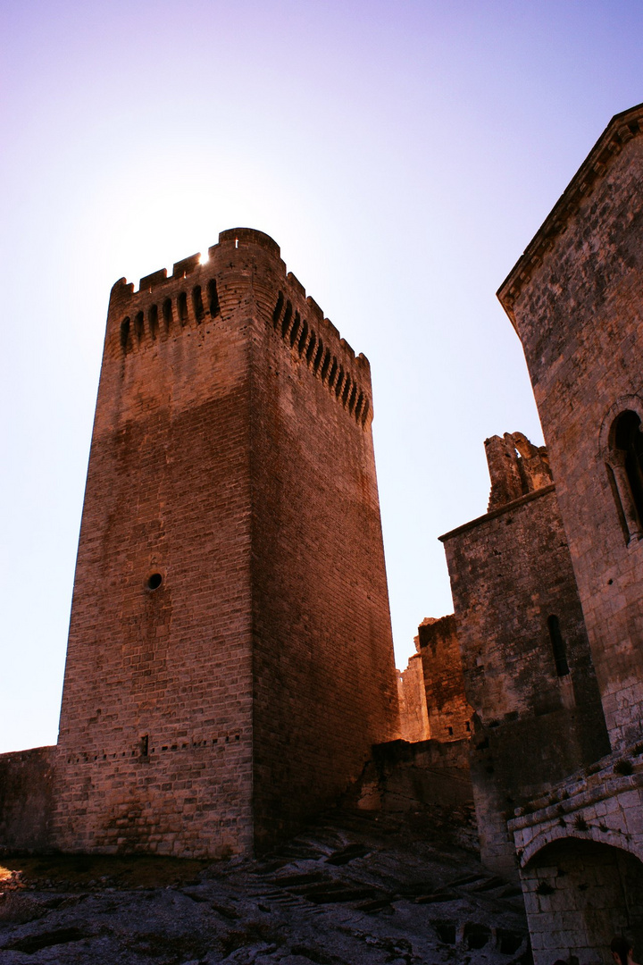 Abbaye de Montmajour Foto & Bild europe, france, provencealpescôte