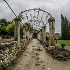 Abbaye De Saint Hilaire - im Garten