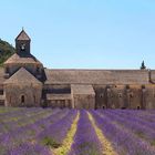 Abbaye de Sénanque