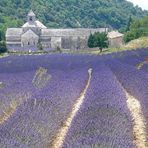 Abbaye de Sénanque