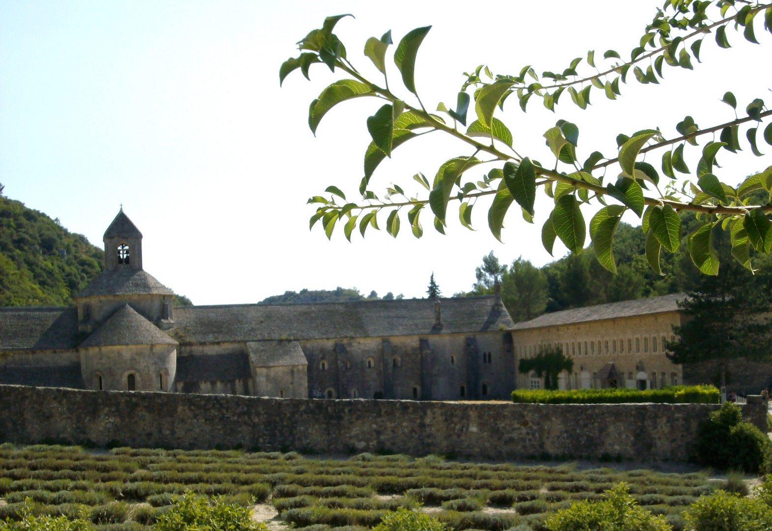 abbaye de Sénanque