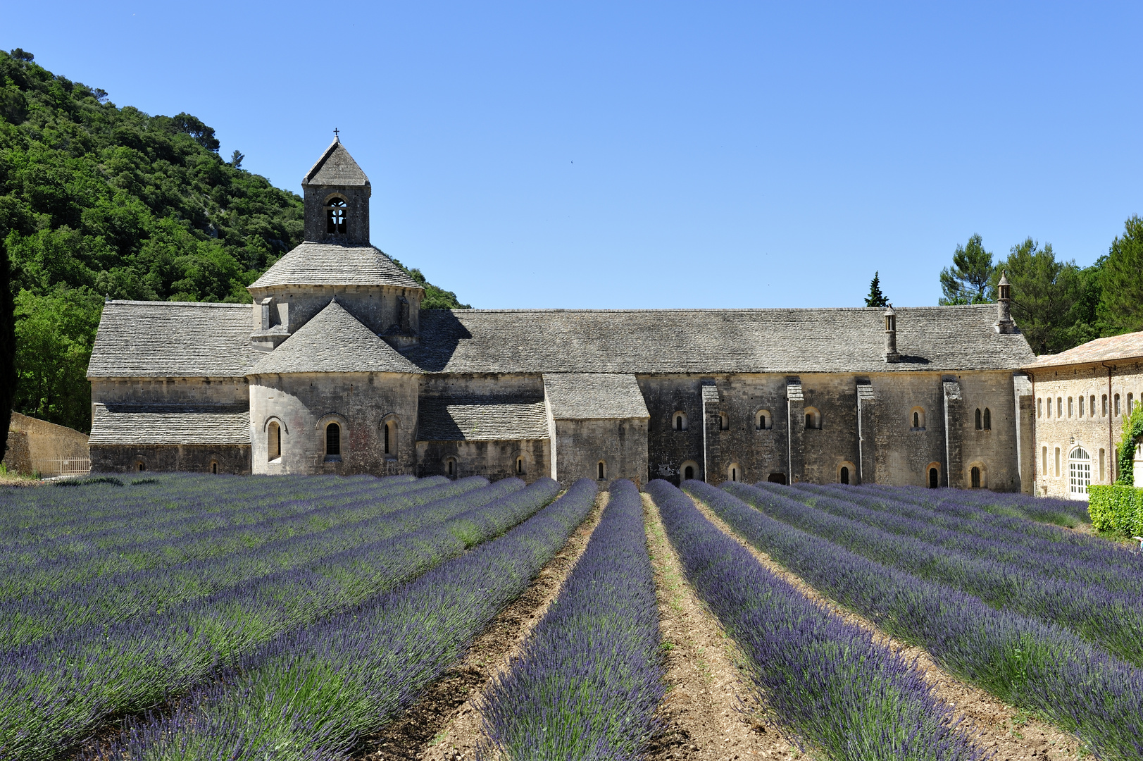 Abbaye de Sénanque