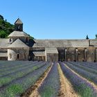 Abbaye de Sénanque