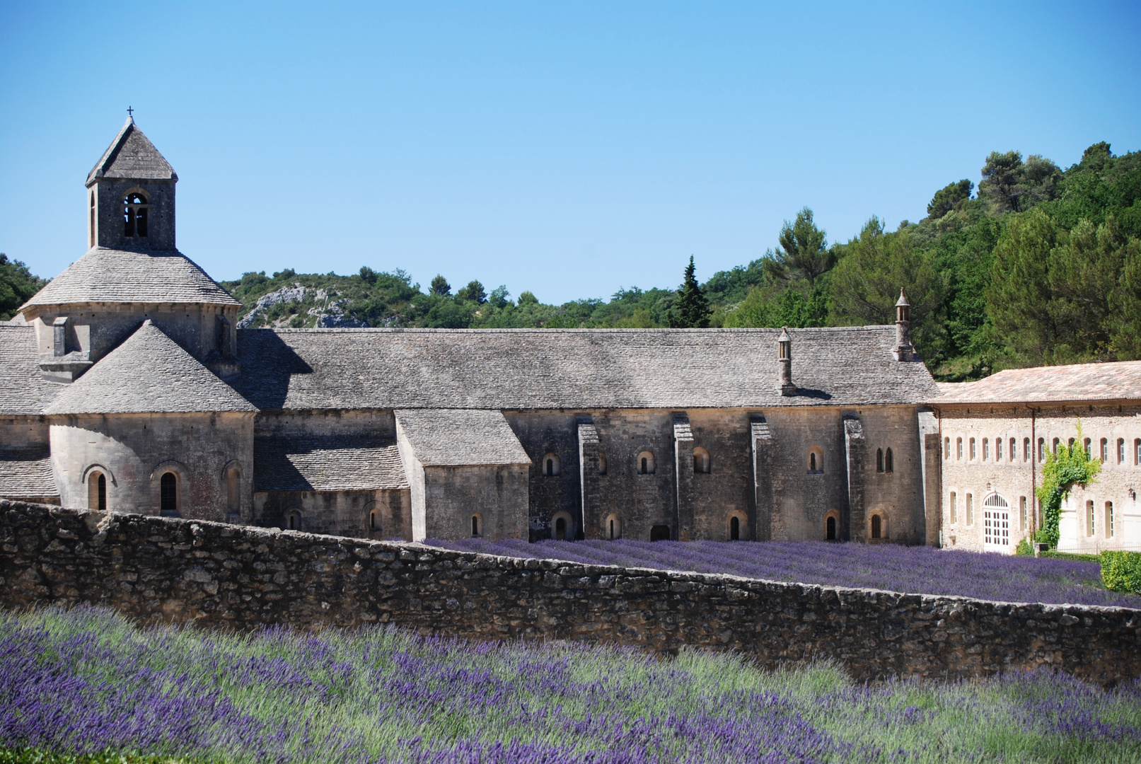 Abbaye de Senanque