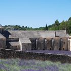 Abbaye de Senanque