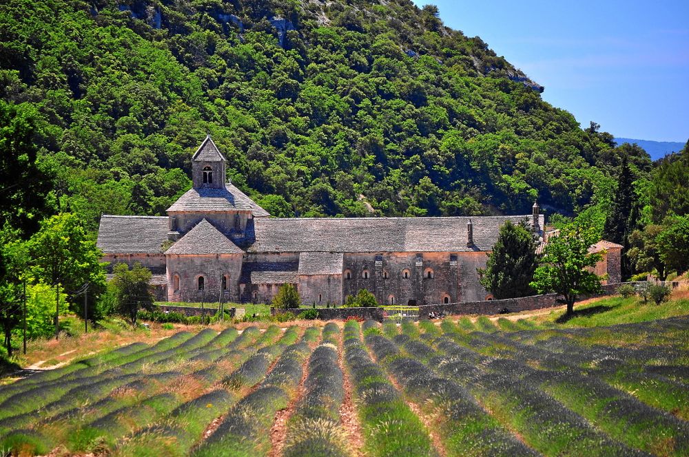 Abbaye de Sénanque