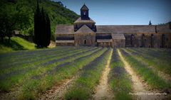 Abbaye de Senanque