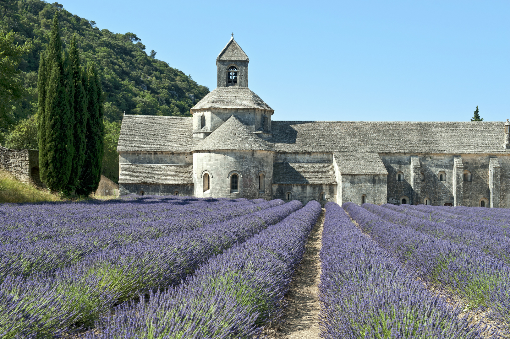 Abbaye de Sénanque