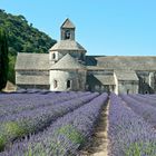 Abbaye de Sénanque