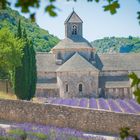 Abbaye de Senanque