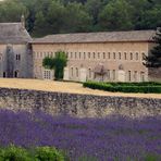 Abbaye de Sénanque