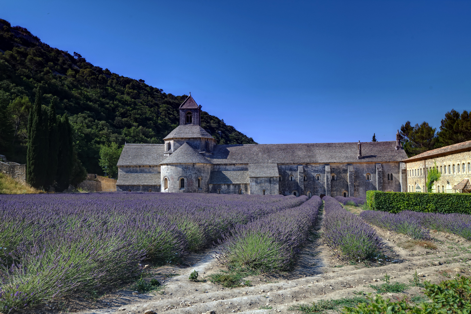 Abbaye de Sénanque