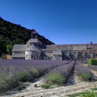 Abbaye de Sénanque