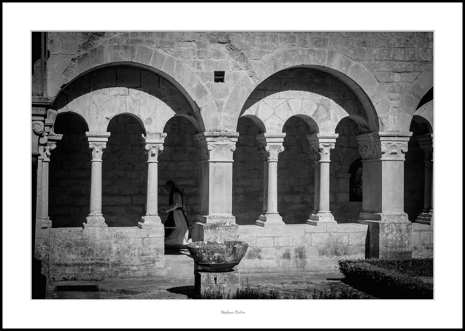 Abbaye de Senanque - Luberon