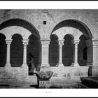 Abbaye de Senanque - Luberon