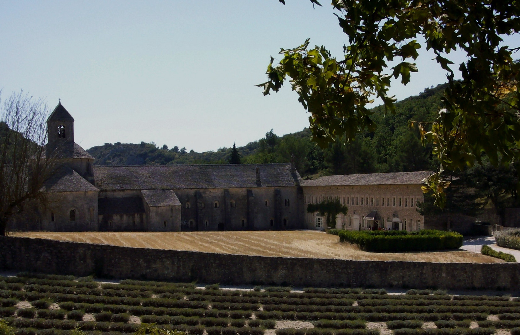 abbaye de Sénanque, près de Gordes