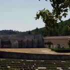 abbaye de Sénanque, près de Gordes