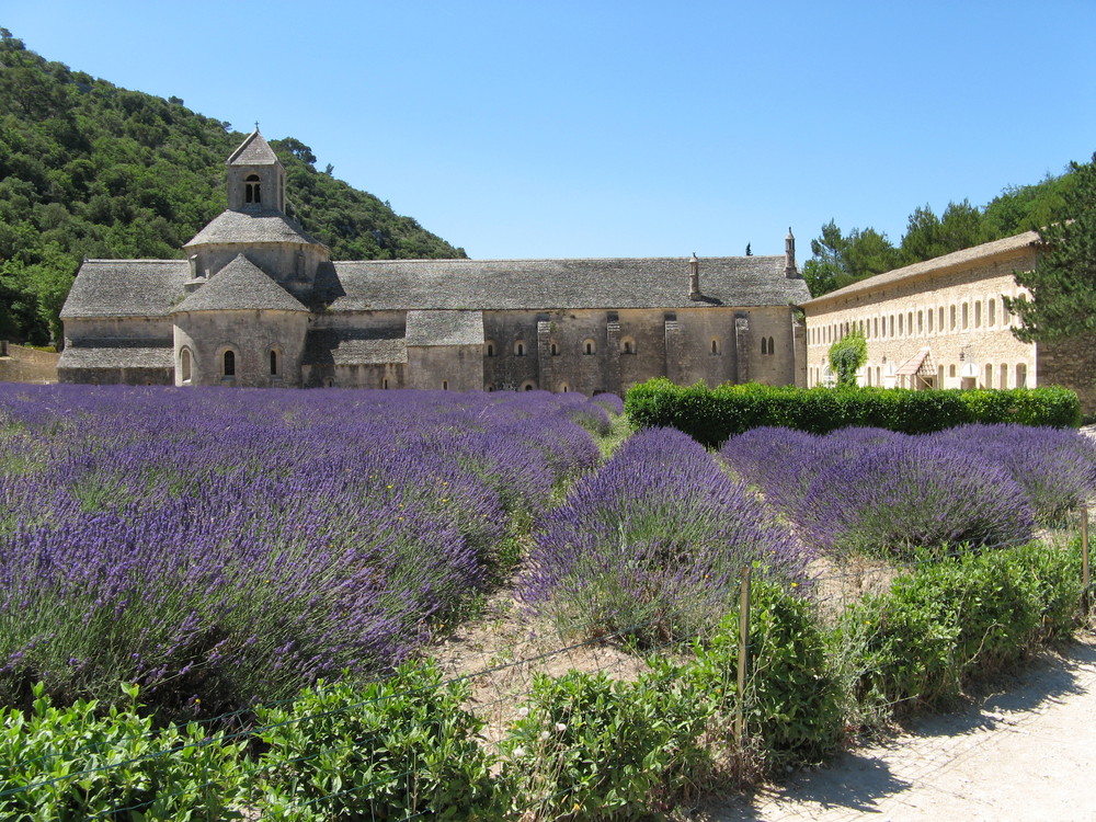 Abbaye de Sénanque (Vaucluse)