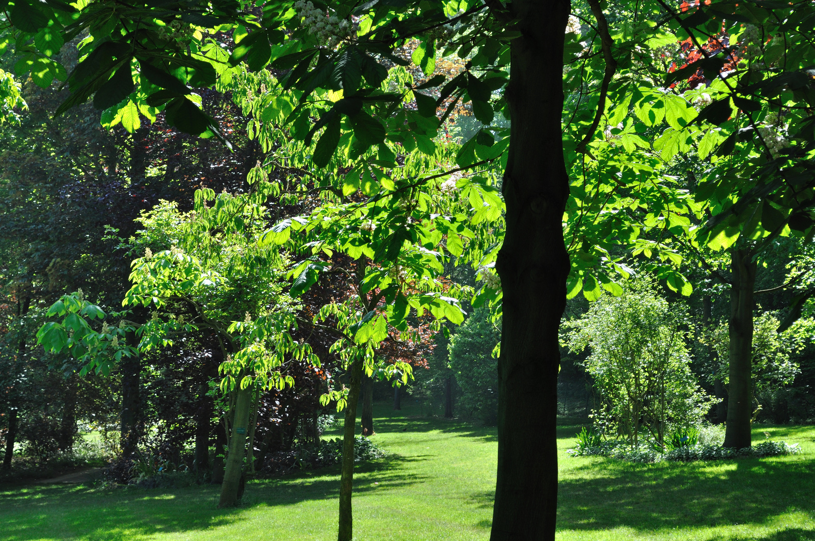 Abbaye de Valloires_2