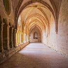 Abbaye de Valmagne -1-