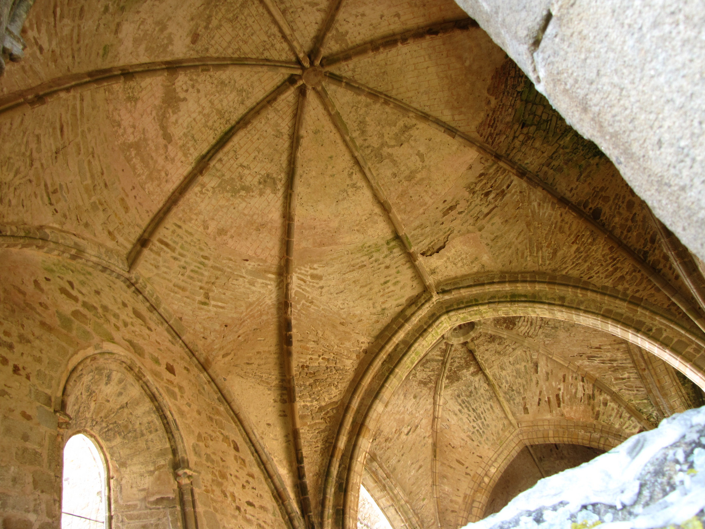 Abbaye des Fontenelles (en ruines) Vendée