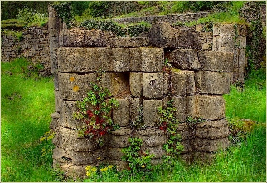 Abbaye d'Orval (Belgique) / Ruines 5