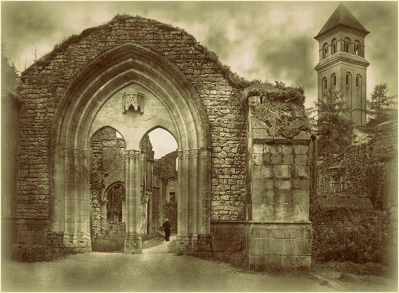 Abbaye d'Orval (Belgique) / Ruines 6