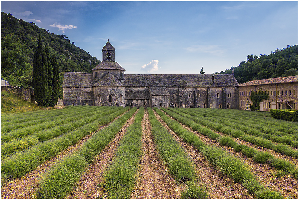 Abbaye ds Sénanque