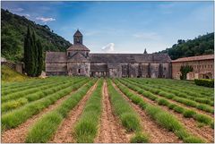 Abbaye ds Sénanque