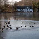 Abbaye du Rouge-Cloi?tre