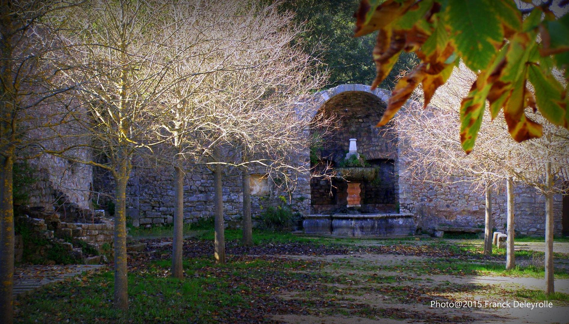 Abbaye du Thoronet (3)