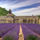 Abbaye Notre-Dame de Sénanque