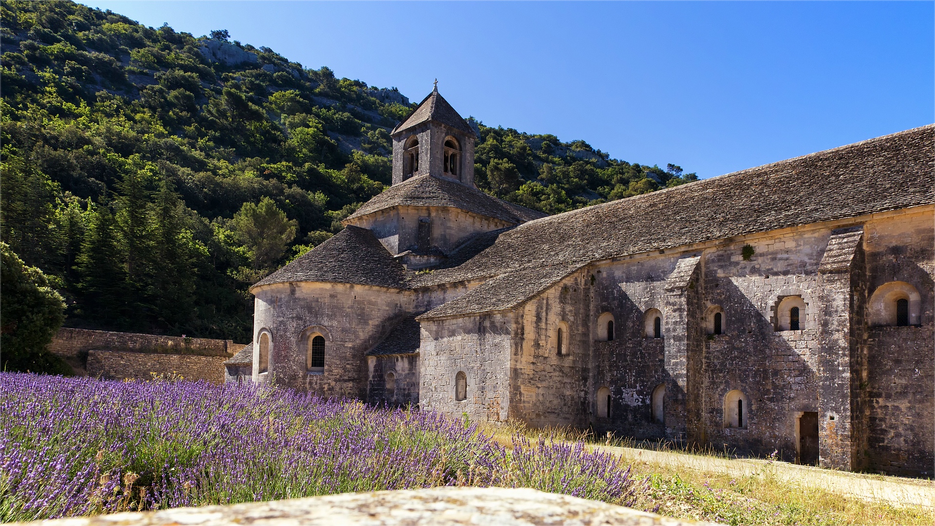 Abbaye Notre-Dame de Sénanque