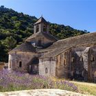 Abbaye Notre-Dame de Sénanque