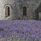 Abbaye Notre-Dame de Sénanque