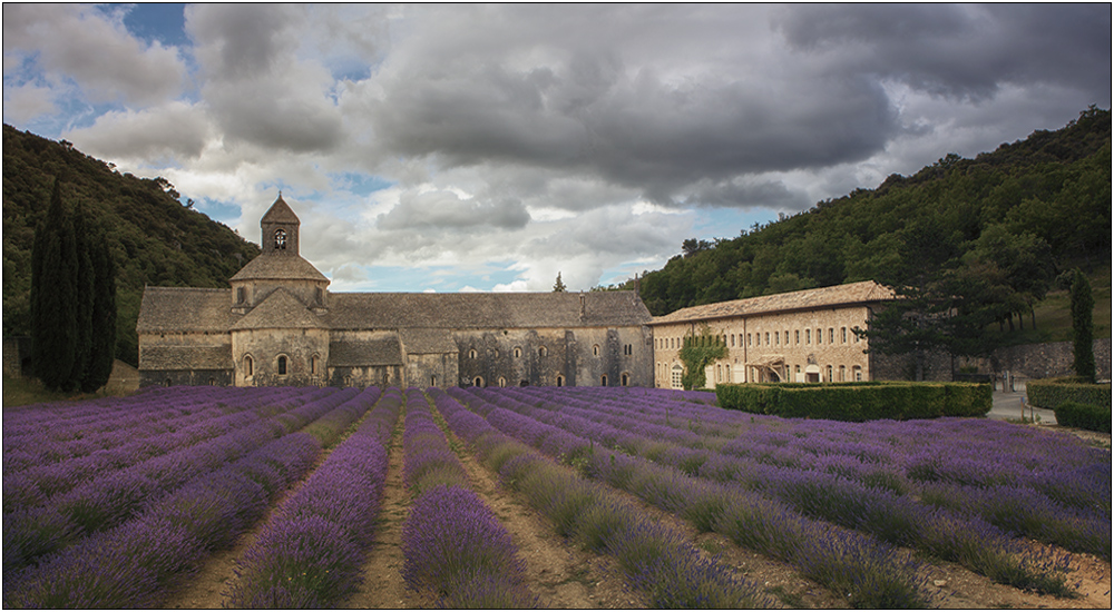 Abbaye Notre-Dame de Sénanque