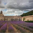 Abbaye Notre-Dame de Sénanque