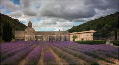 Abbaye Notre-Dame de Sénanque